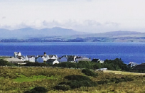 Islay Whisky