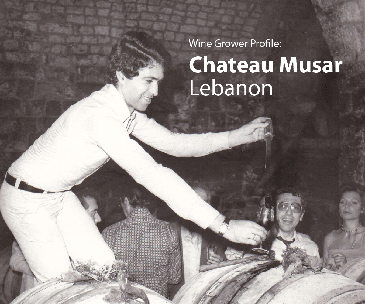 Chateau Musar