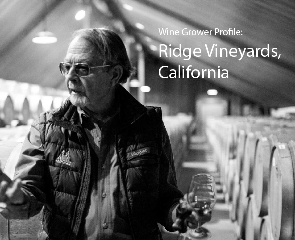 Ridge Vineyards